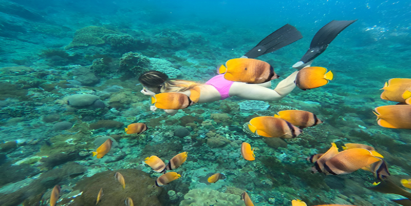 Gamat Bay Snorkeling Point